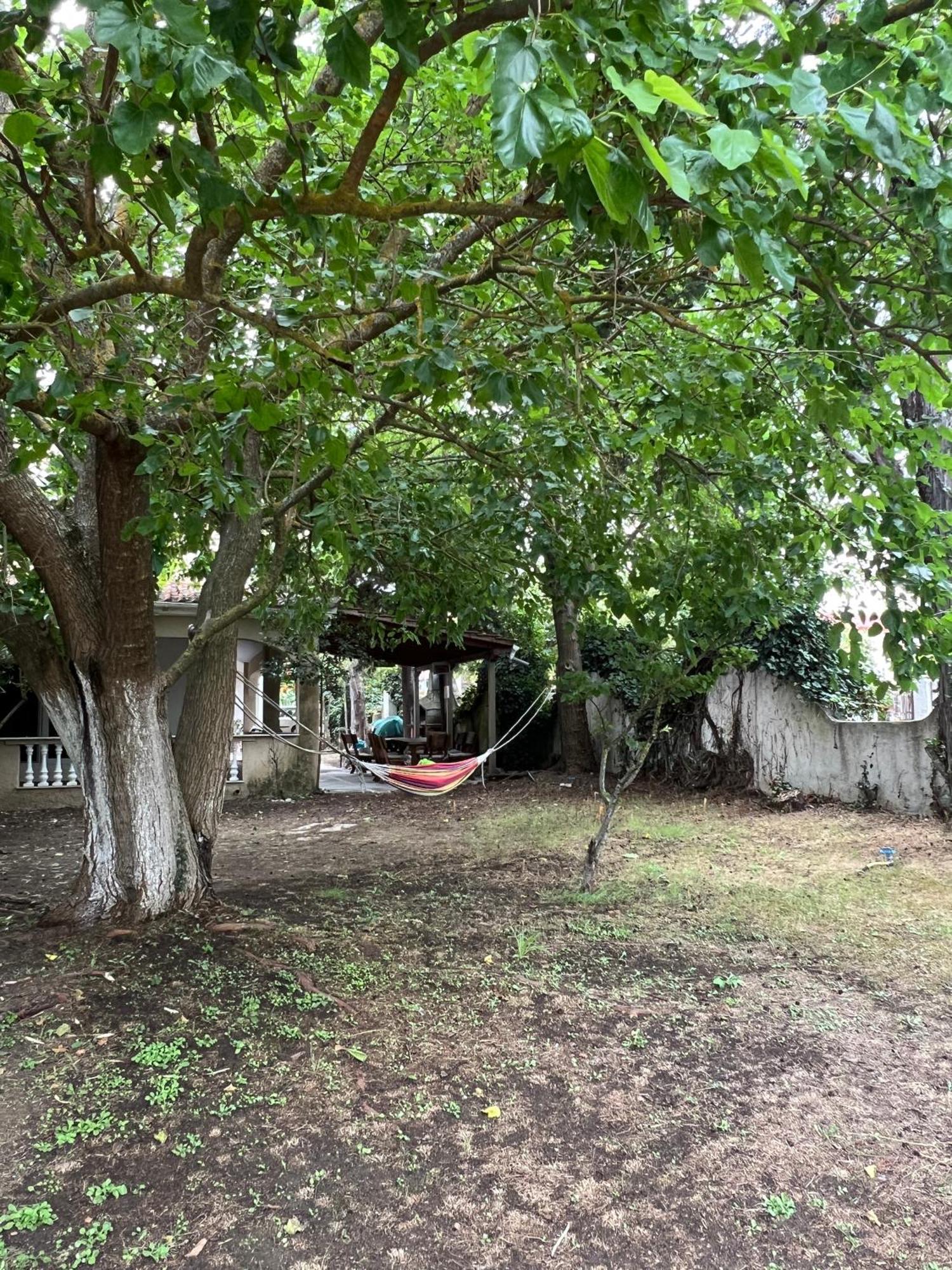 Villa Katia Asprovalta Esterno foto